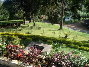  Munnar Gap Road Bungalow Garden