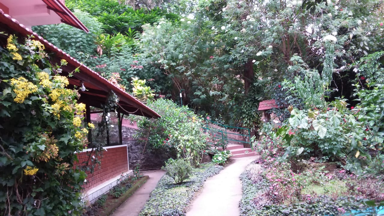 Munnar Luxury Ollivebrook Bungalow