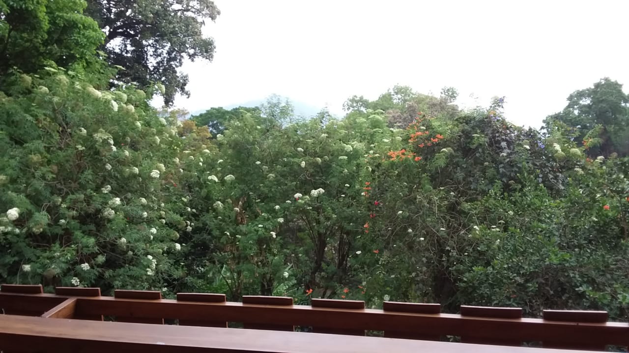Munnar Luxury Ollivebrook Bungalow